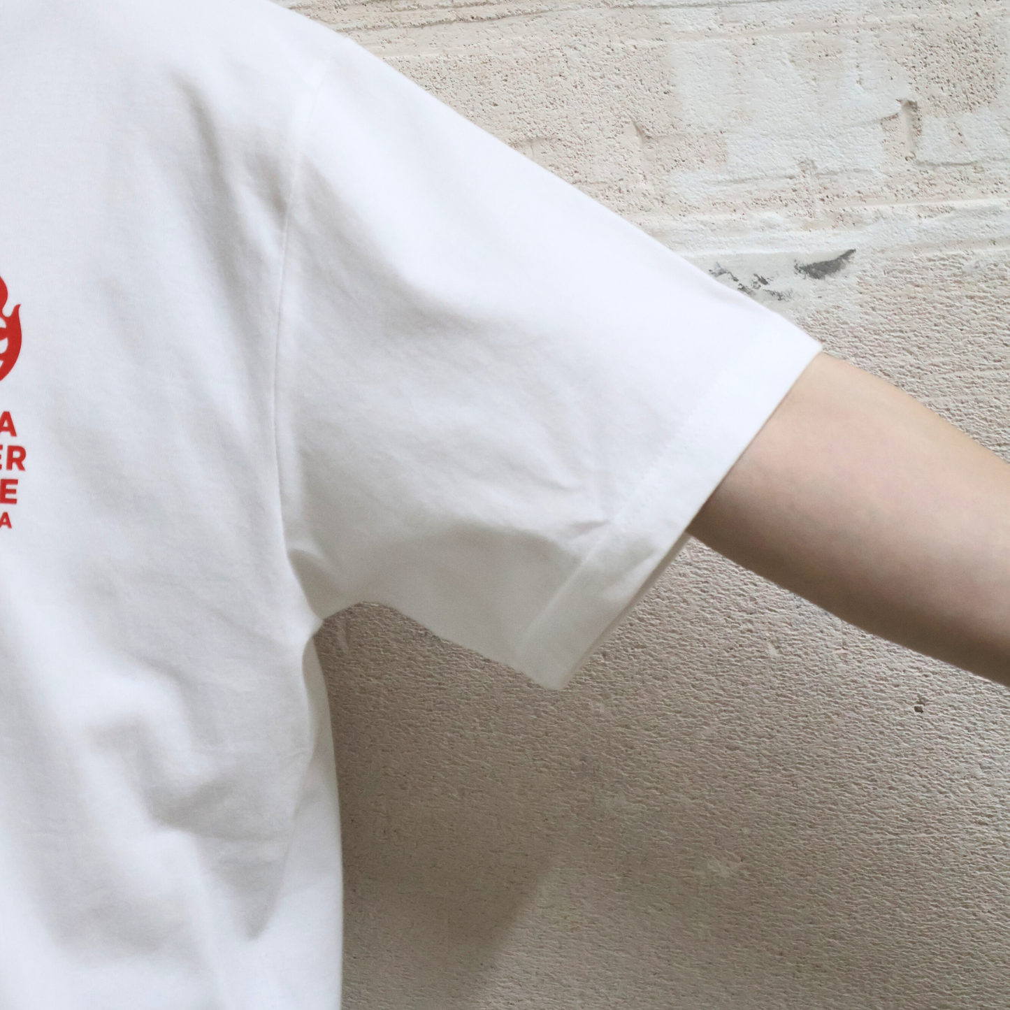 Tシャツ 辛メーターストアロゴ 両面
